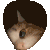 catpeak