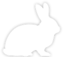 whitewhiterabbitsilhouette